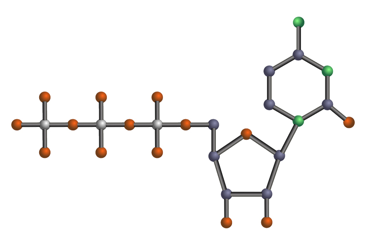 Estructura química de un nucleótido.