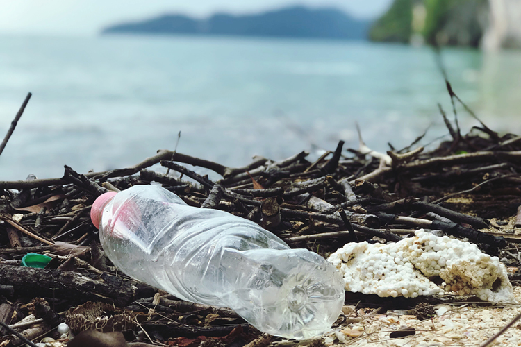[fotografía] Botella de plástico vertida en un entorno natural, junto a una orilla